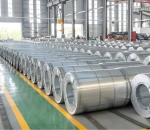 SGCC Dạng Tấm vs Cuộn: Nên Chọn Loại Nào Cho Nhà Máy FDI?